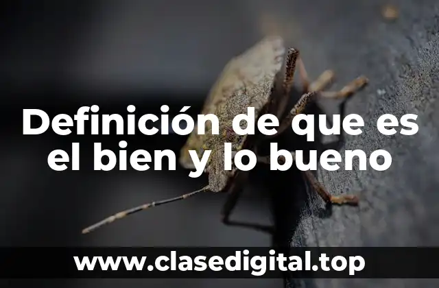 Definición de que es el bien y lo bueno
