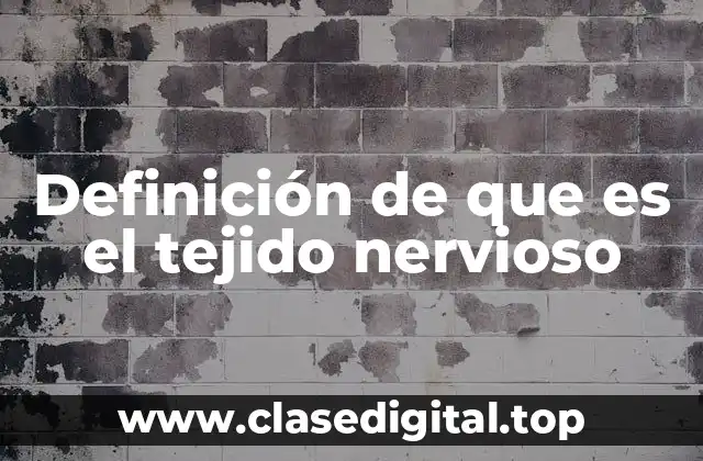 Definición de que es el tejido nervioso