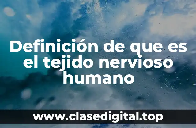 Definición técnica de tejido nervioso humano