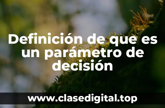 Definición técnica de parámetro de decisión