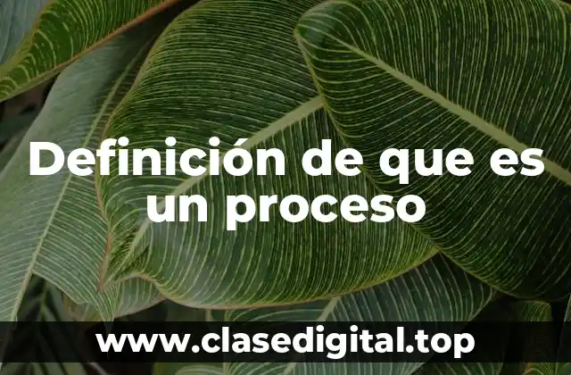 Definición de que es un proceso