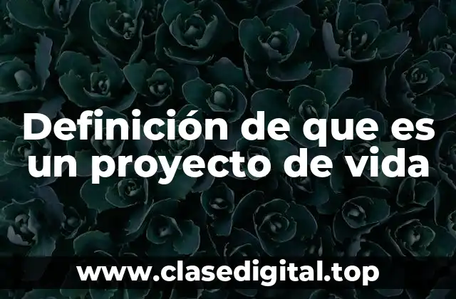 Definición de que es un proyecto de vida