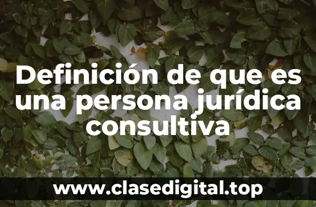Definición de que es una persona jurídica consultiva