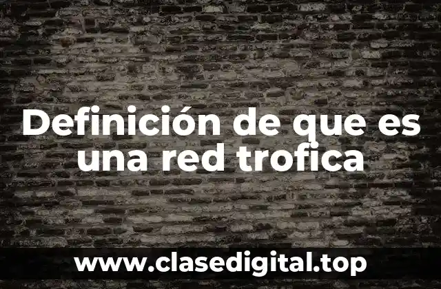 Definición de que es una red trofica