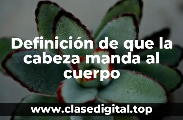 Definición de que la cabeza manda al cuerpo