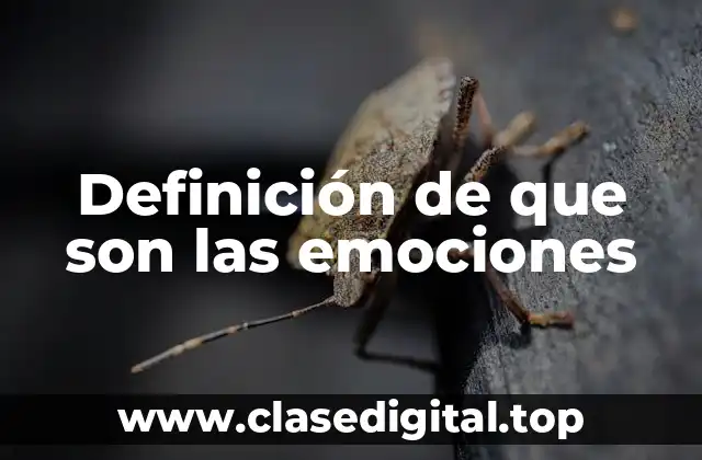 Definición de que son las emociones