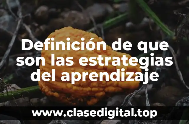 Definición de que son las estrategias del aprendizaje