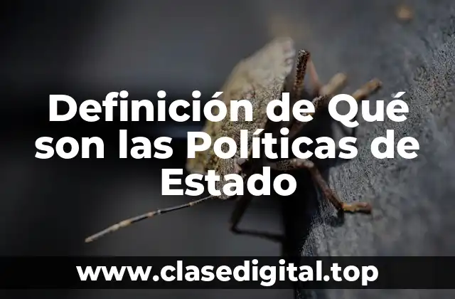 Definición de Qué son las Políticas de Estado