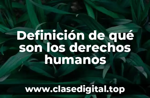 Definición técnica de derechos humanos