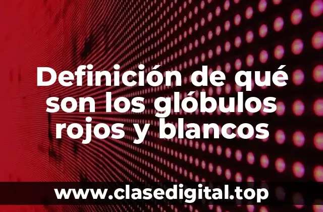 Definición de qué son los glóbulos rojos y blancos