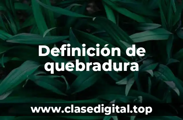 Definición de quebradura