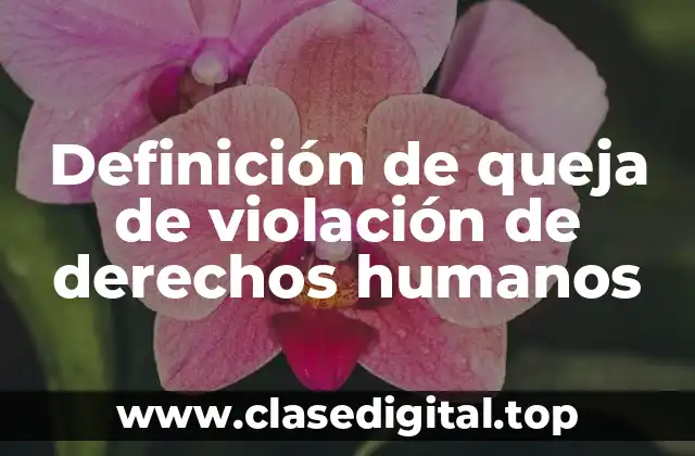 Definición de queja de violación de derechos humanos