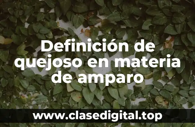 Definición de quejoso en materia de amparo