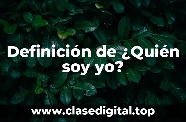 Definición de ¿Quién soy yo?