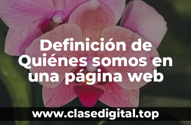 Definición de Quiénes somos en una página web