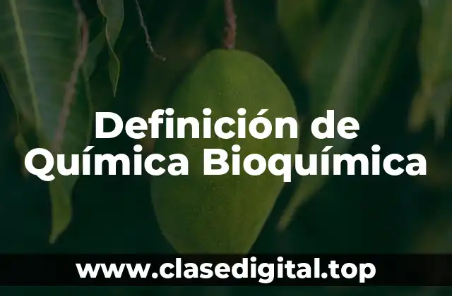 Definición de Química Bioquímica