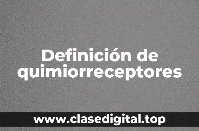 Diferencia entre quimiorreceptores y receptores de neurotransmisores