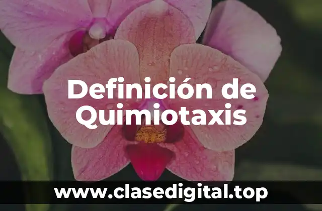 Definición de Quimiotaxis