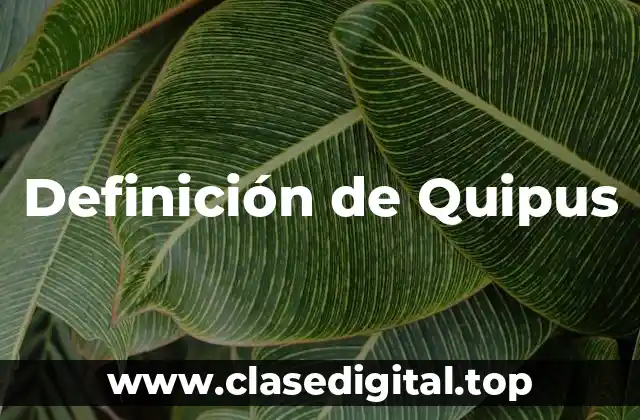 Definición de Quipus