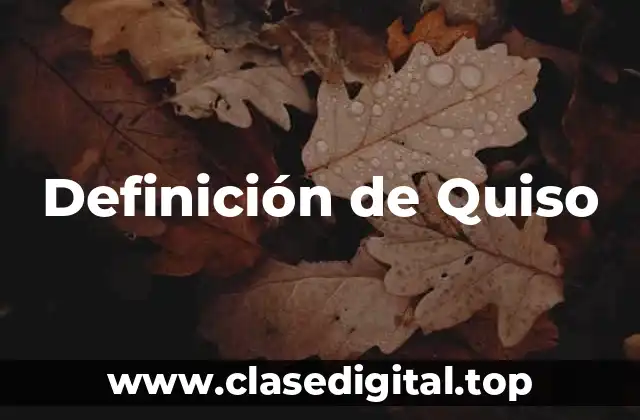 Definición técnica de Quiso
