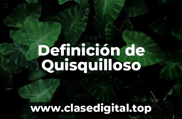 Definición de Quisquilloso