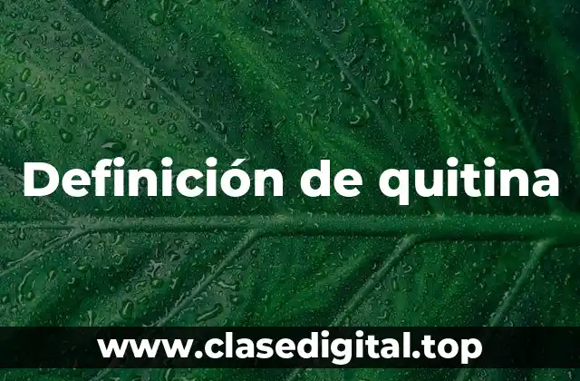 Definición de quitina