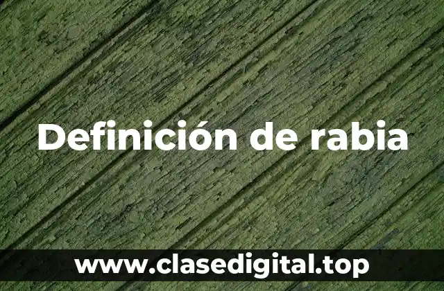 Definición de rabia