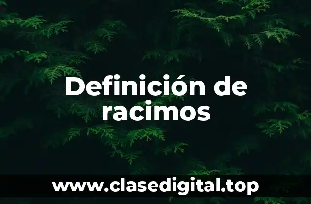 Definición de racimos