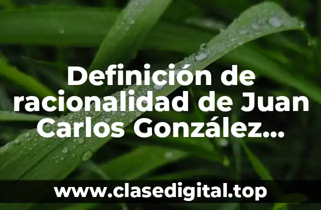 Definición de racionalidad de Juan Carlos González García