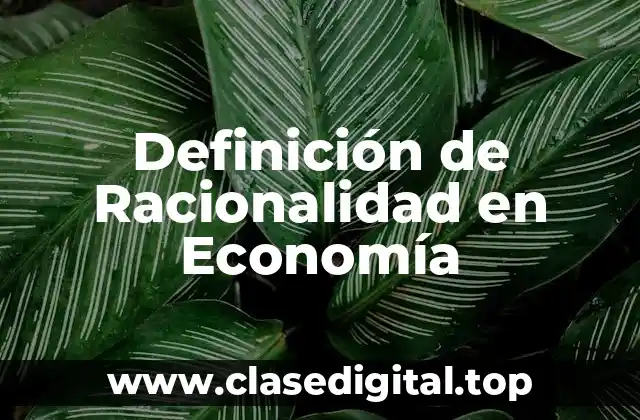 Definición Técnica de Racionalidad en Economía
