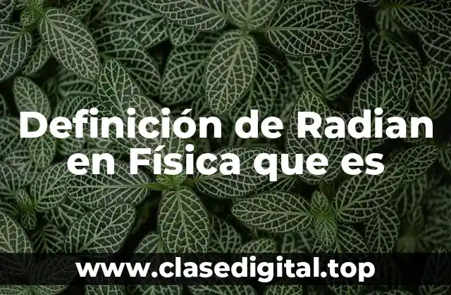 Definición técnica de Radian