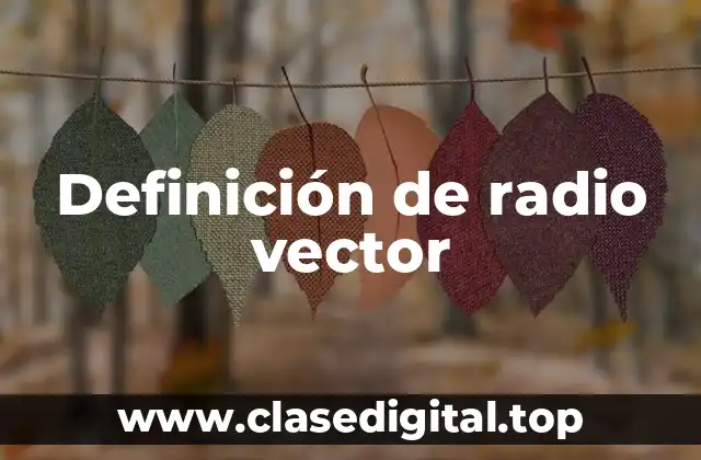 Definición de radio vector