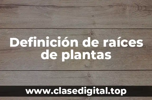 Definición de raíces de plantas