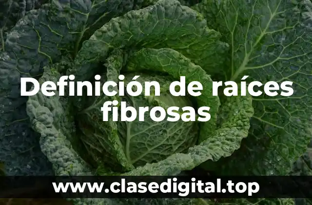 Ejemplos de raíces fibrosas