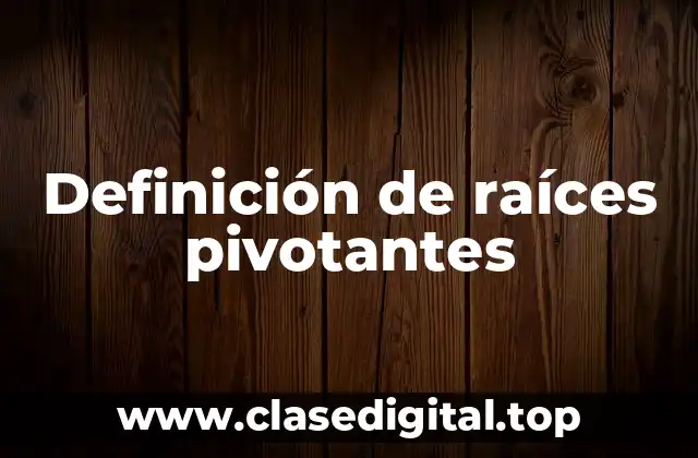 Definición de raíces pivotantes