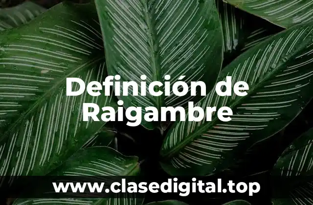 Definición de Raigambre
