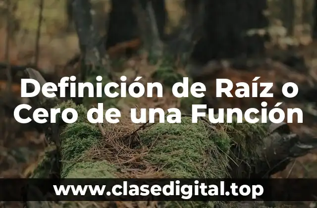 Definición Técnica de Raíz o Cero de una Función