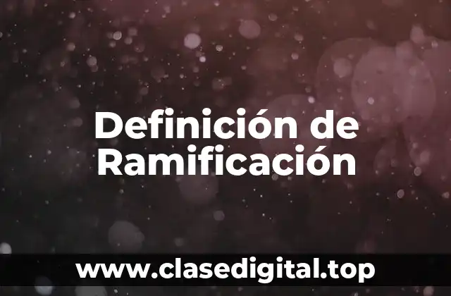 Definición de Ramificación