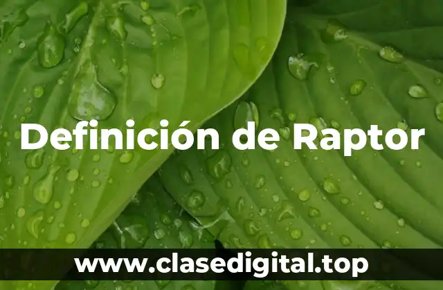 Definición técnica de Raptor
