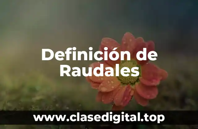 Definición de Raudales