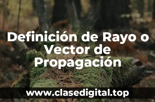 Definición de Rayo o Vector de Propagación