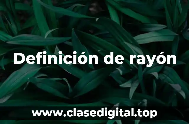 Definición técnica de rayón