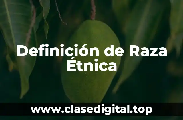 Definición de Raza Étnica