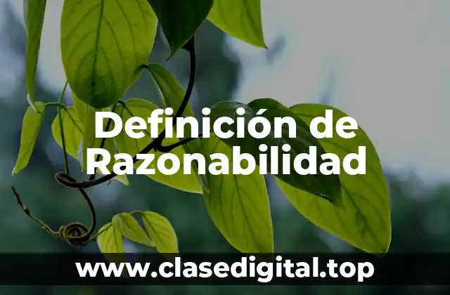 Definición de Razonabilidad