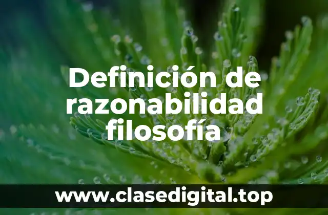 Definición de razonabilidad filosofía