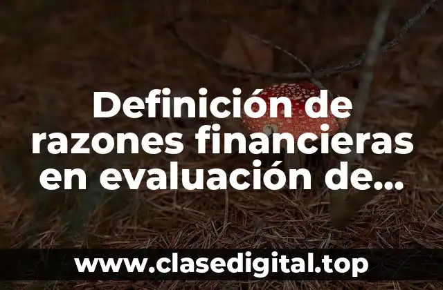 Definición de razones financieras en evaluación de riesgos
