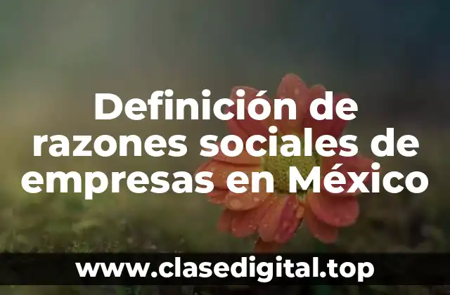 Ejemplos de razones sociales de empresas en México
