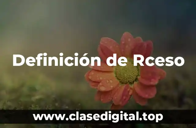 Definición de Rceso