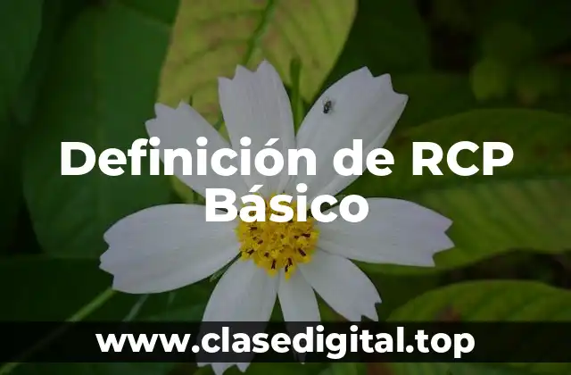 Definición de RCP Básico