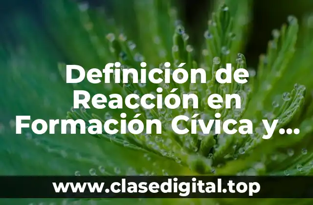 Definición de Reacción en Formación Cívica y Ética